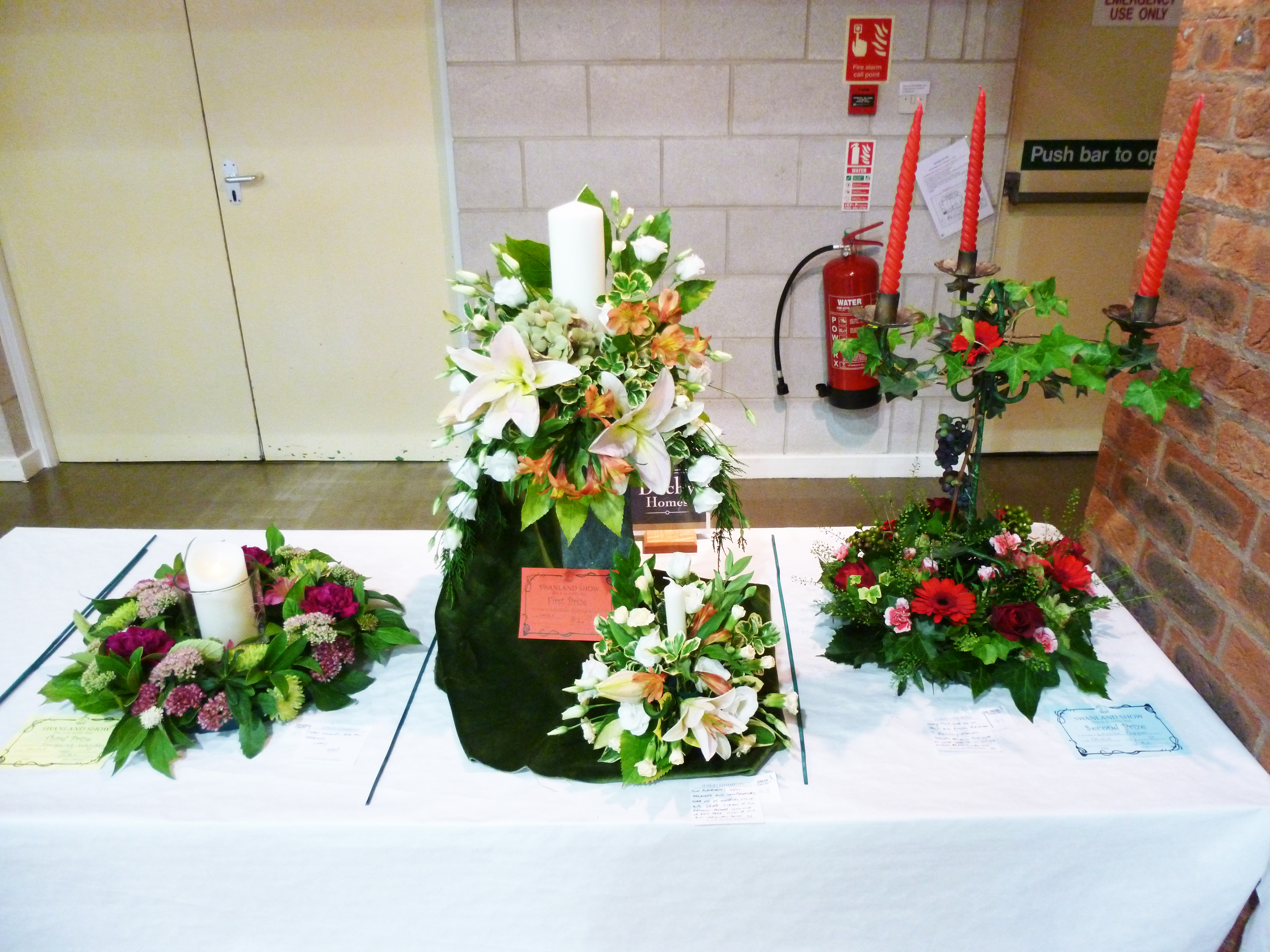 swanland show