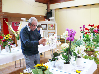 swanland show