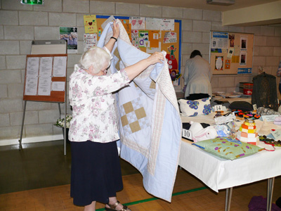 swanland show