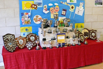 swanland show