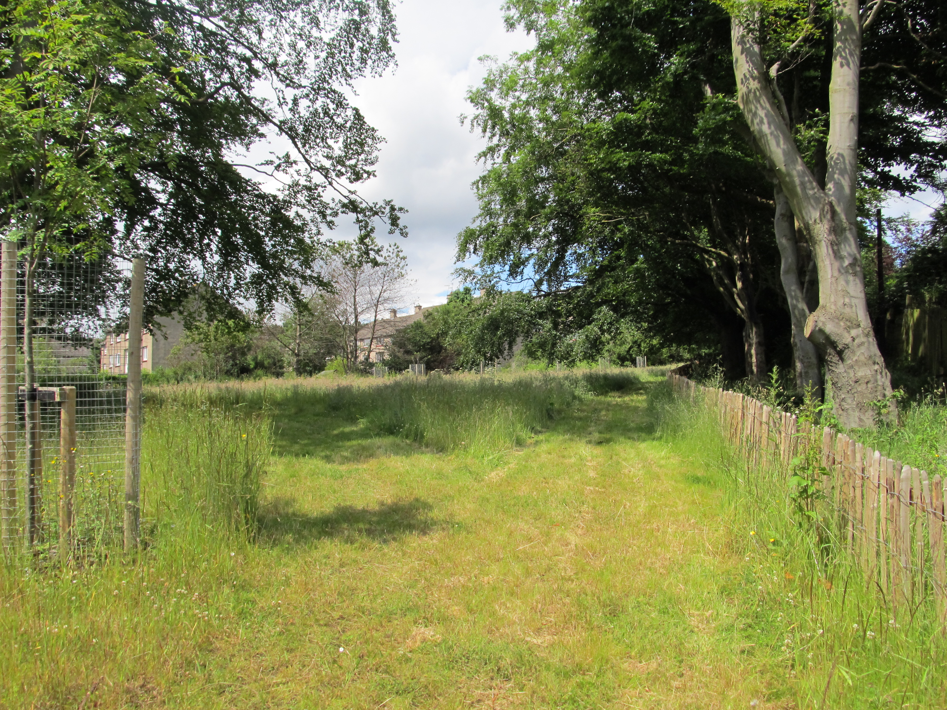View of triangle from south-west corner