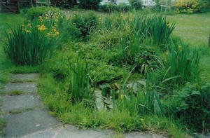 Lancaster & District Conservation Volunteers - Tasks