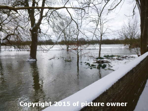Marshes flloded near Ellingham Mill 10th March 2013