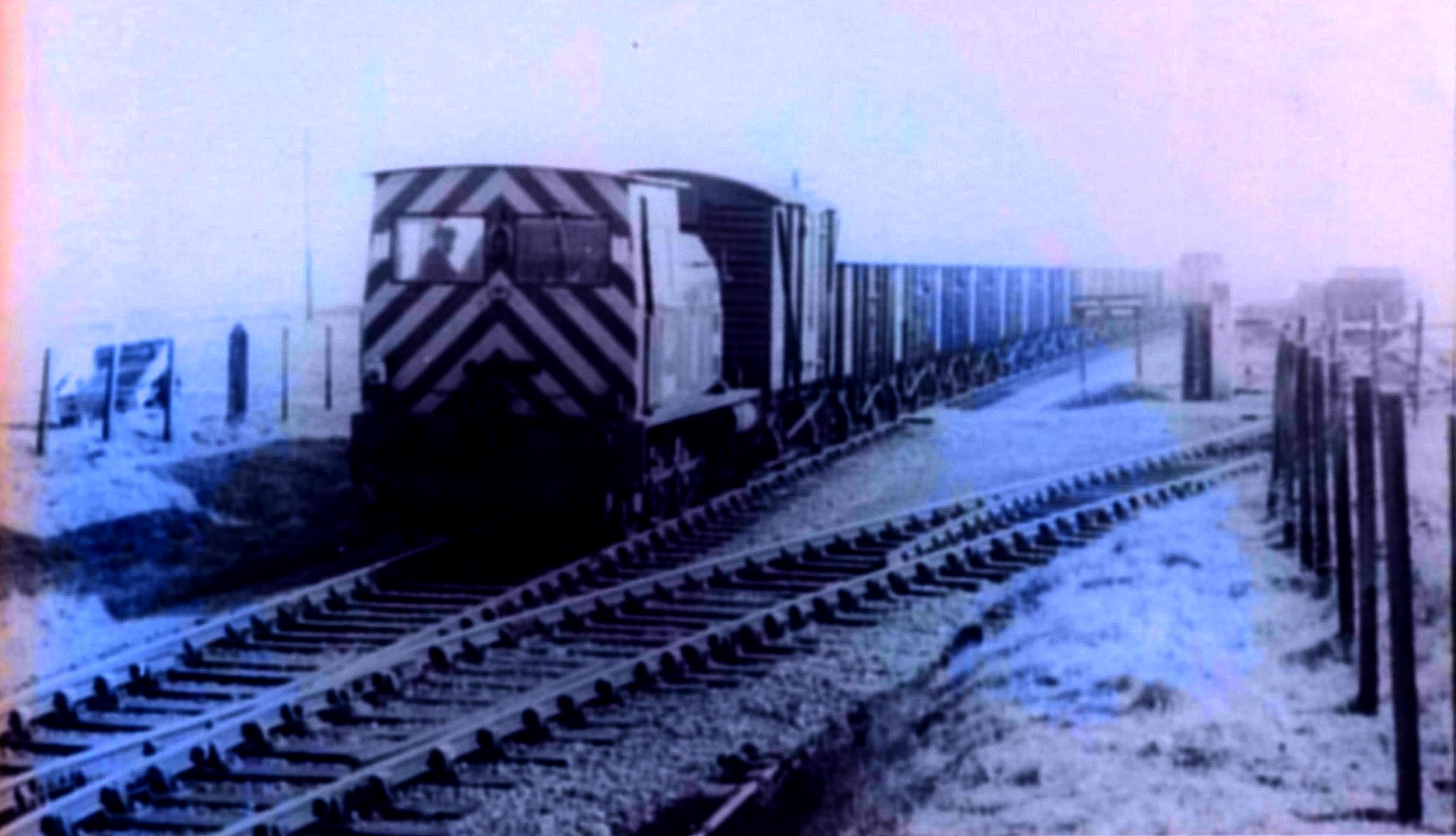 A train at Ellingham station