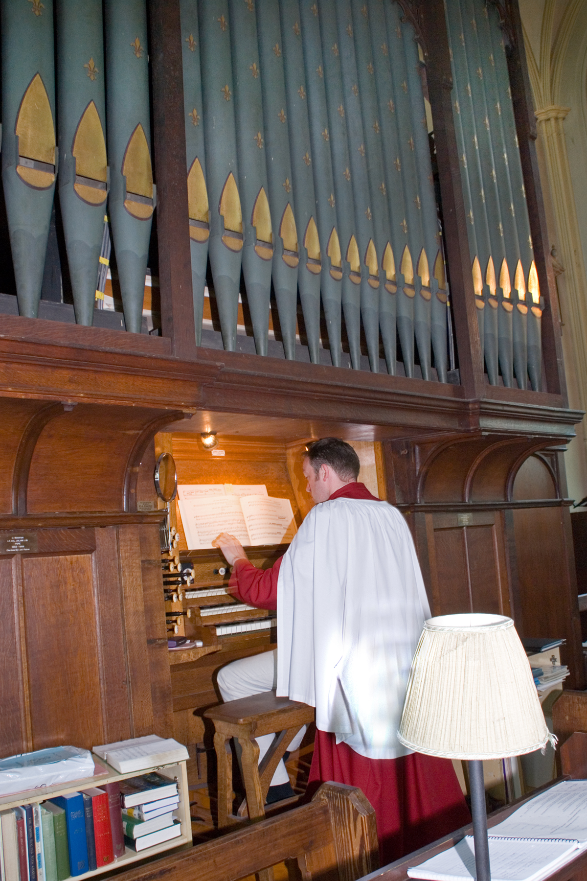 The organ