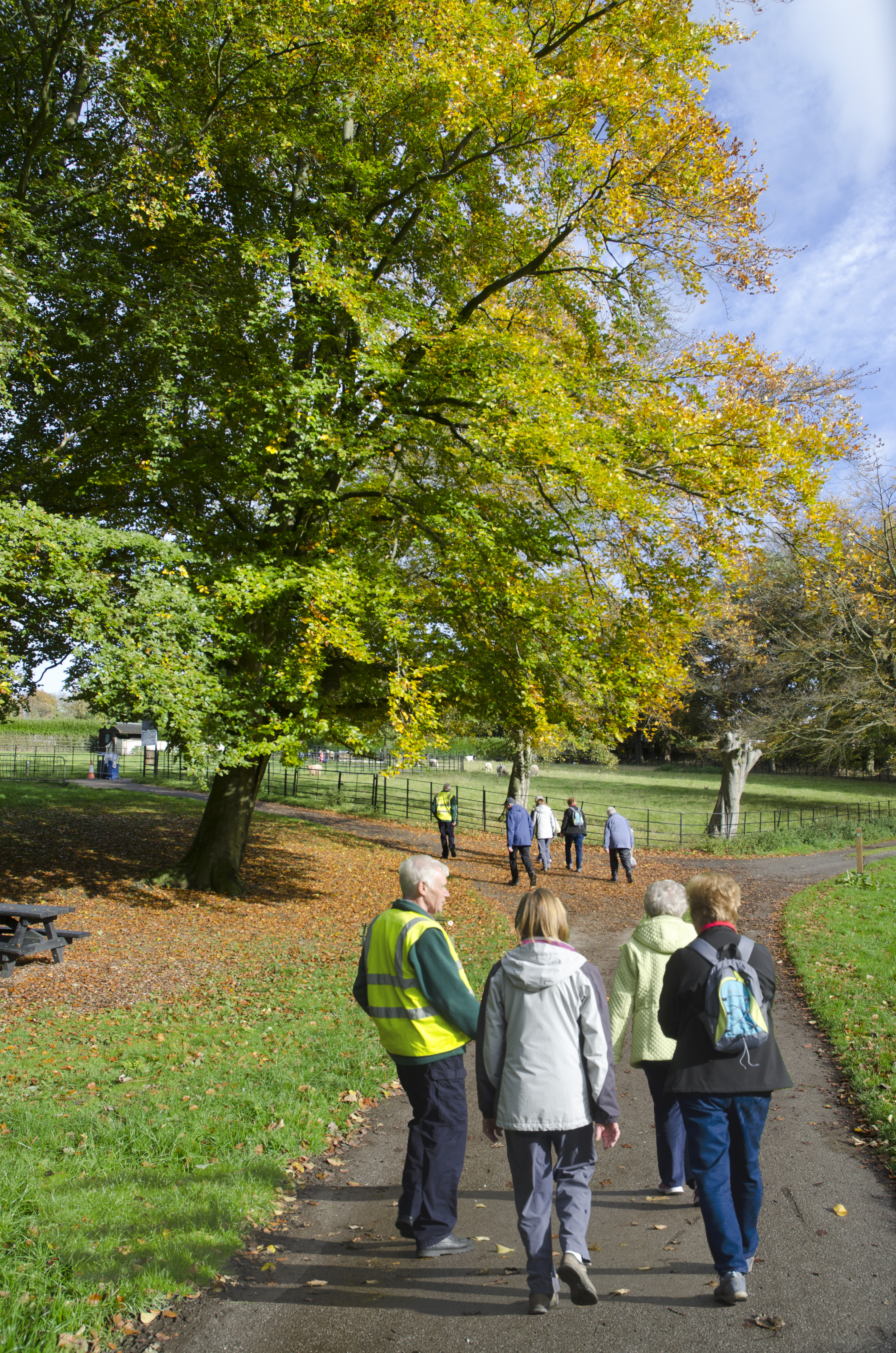 Health Walks in Sheffield - Graves Leisure Centre