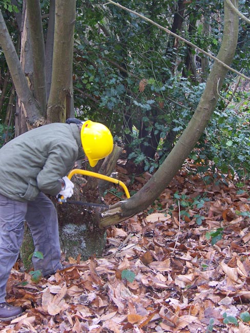 coppice man coppice man