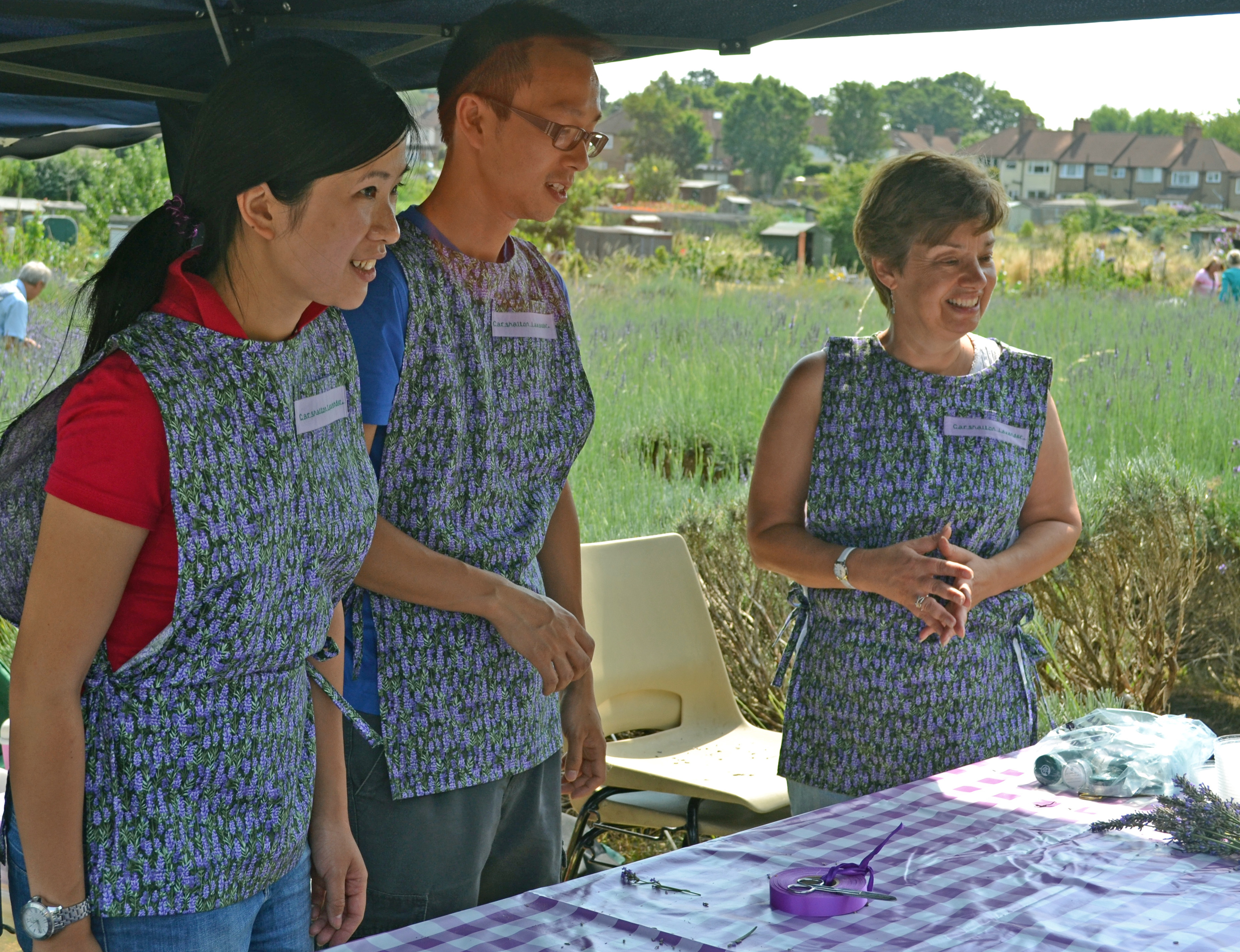 Volunteers at our harvest day
