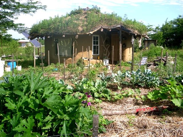 How about this for an allotment shed...with Solar Panel...!!!