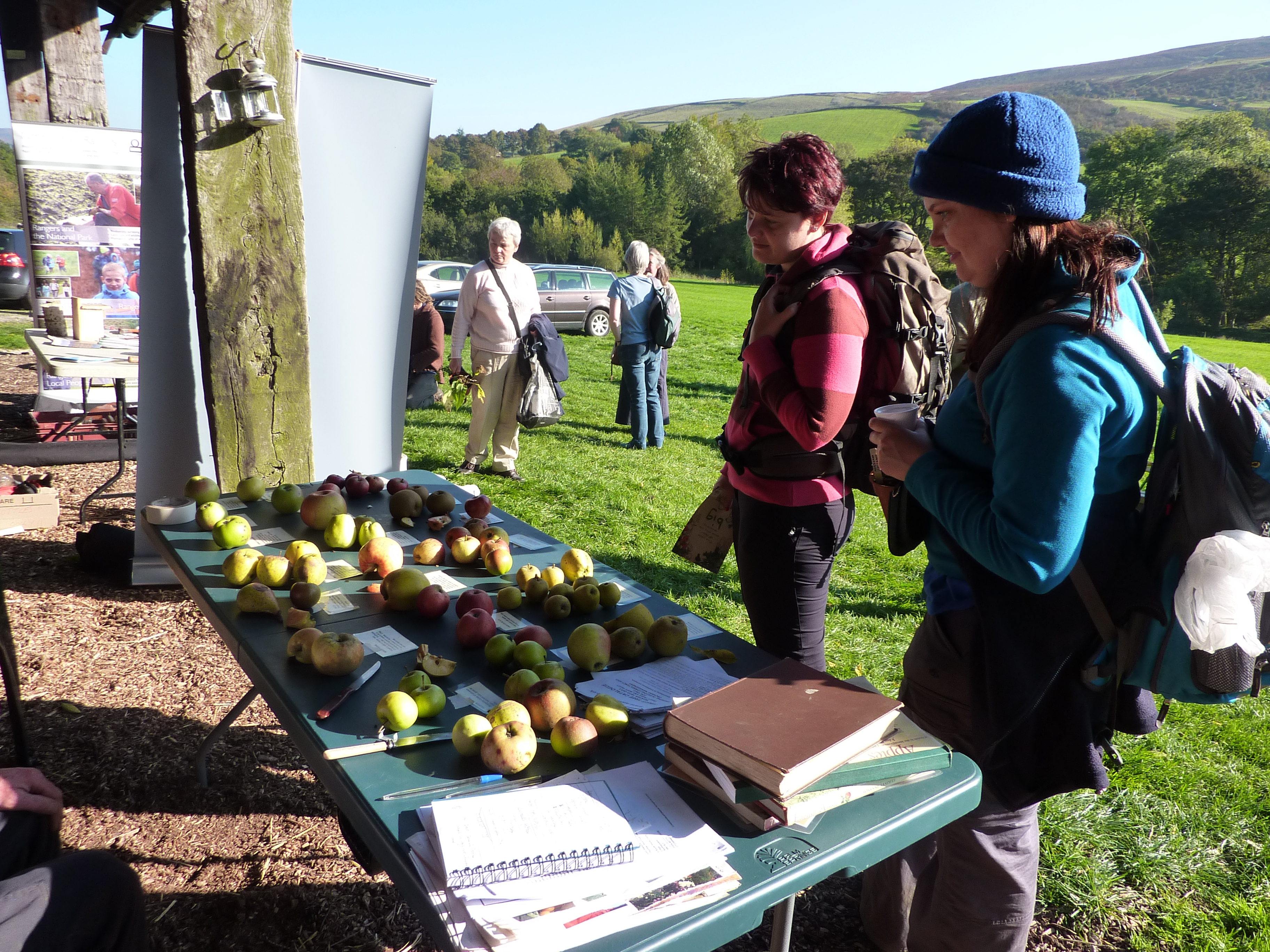 "Apple Day" near Hope