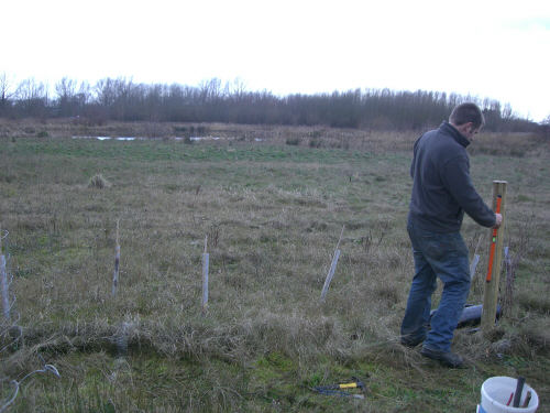 Installing supporting posts