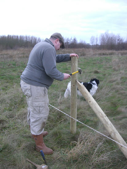 Nailing in support struts