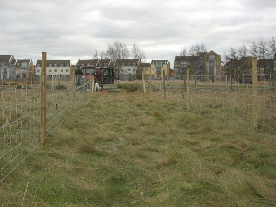 Fence up and tensioned