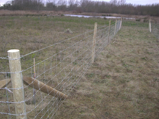 Top wire tensioned and tacked