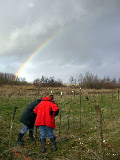 Putting in spacing posts