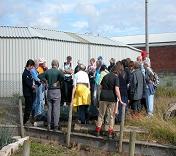 Friends learn about wildlife on the nature reserve