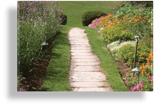 pathways40.jpg