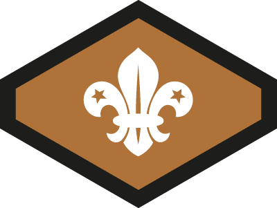Image result for bronze chief scout award