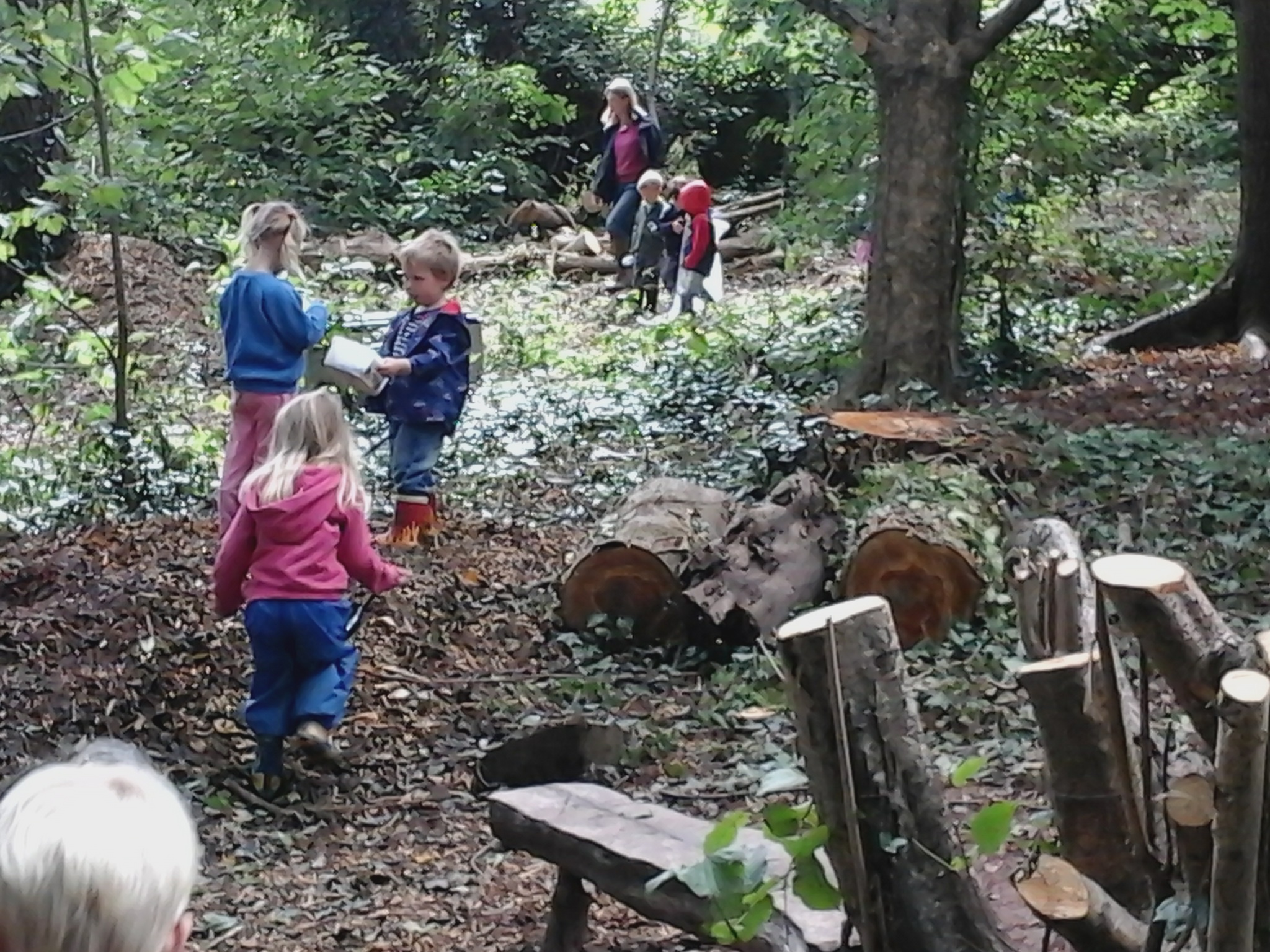 Forest school outdoors thorverton