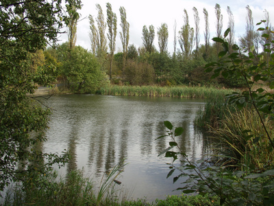 Deer Pond Local Nature Reserve, Towneley Park, Burnley