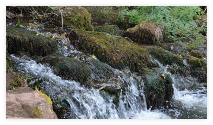 The River Avill at Lovers Bridge The River Avill at Lovers Bridge, Dunster Castle