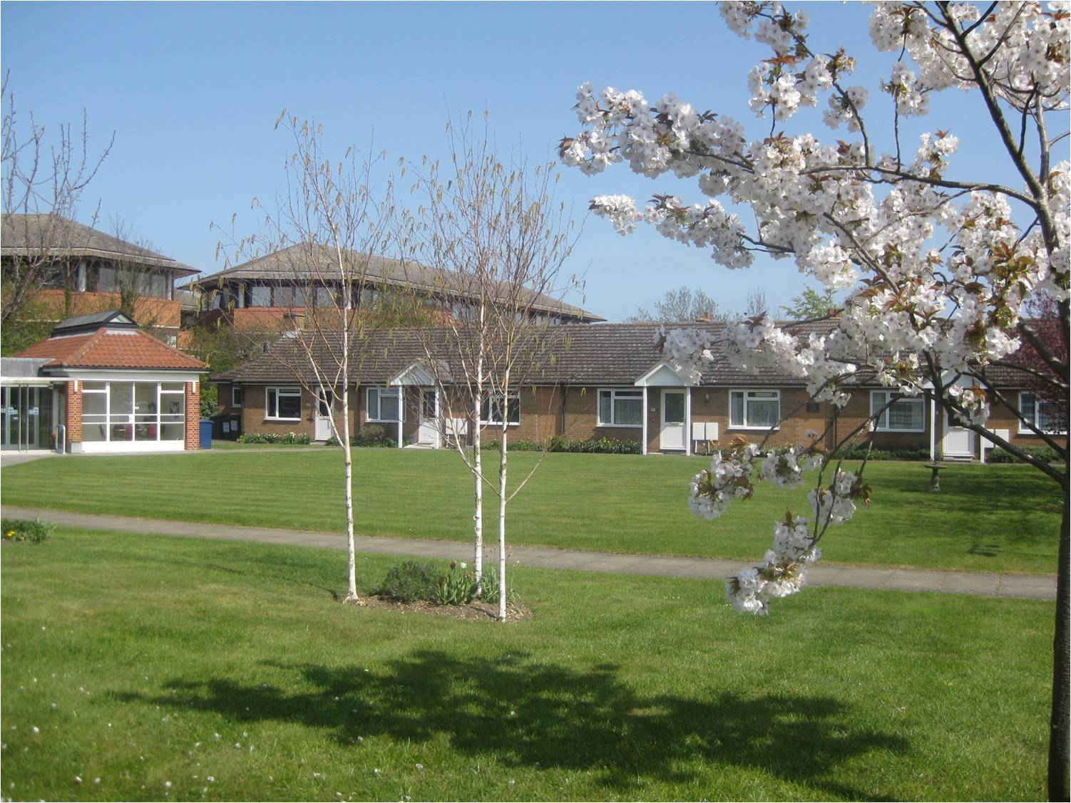The green lawn at Cambridge Victoria Homes