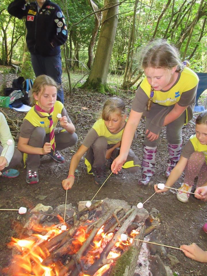 1st Shepherdswell Brownies - District Brownie Revels